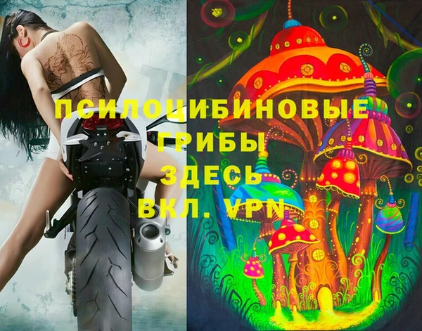соль ск Алексеевка