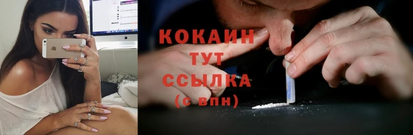 соль ск Алексеевка