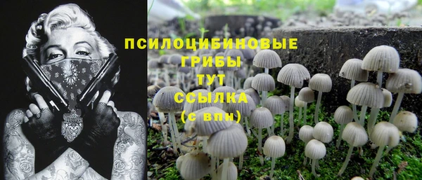 гидропоника Алексин