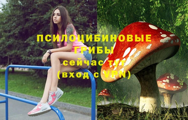 гидропоника Алексин