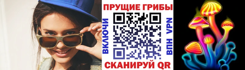 Псилоцибиновые грибы Cubensis  Сосновый Бор 