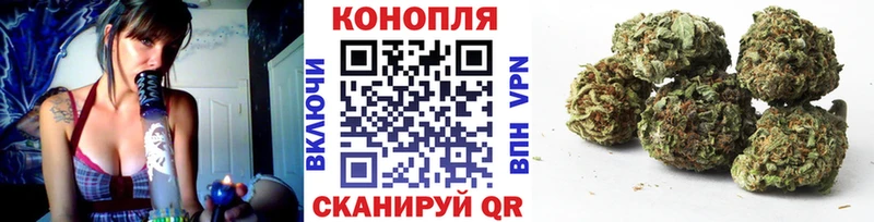 Бошки марихуана сатива Сосновый Бор